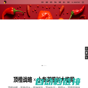 深圳品牌设计公司_企业VI设计_形象logo设计-XICAO喜草